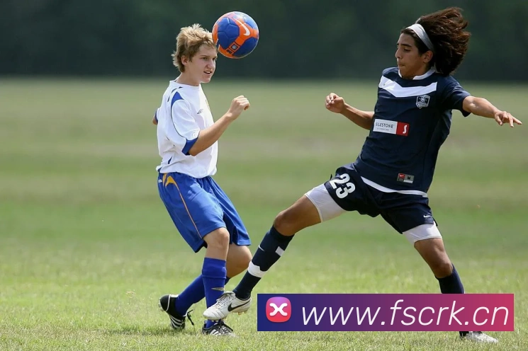 易倍emc官方平台生态图